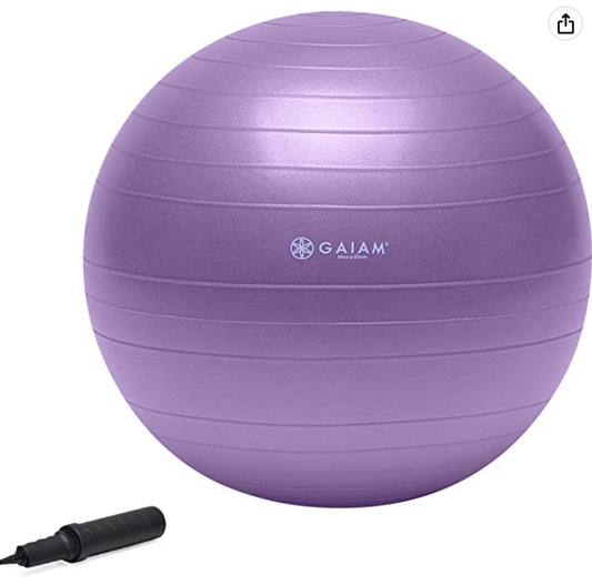 Gaiam Total Body Balance Ball Kit