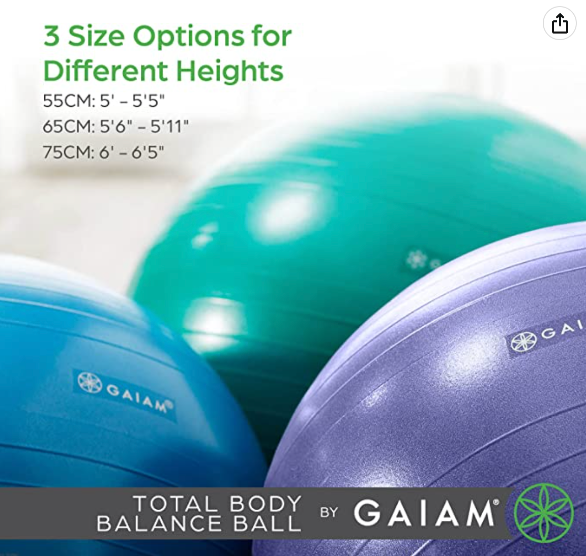 Gaiam Total Body Balance Ball Kit