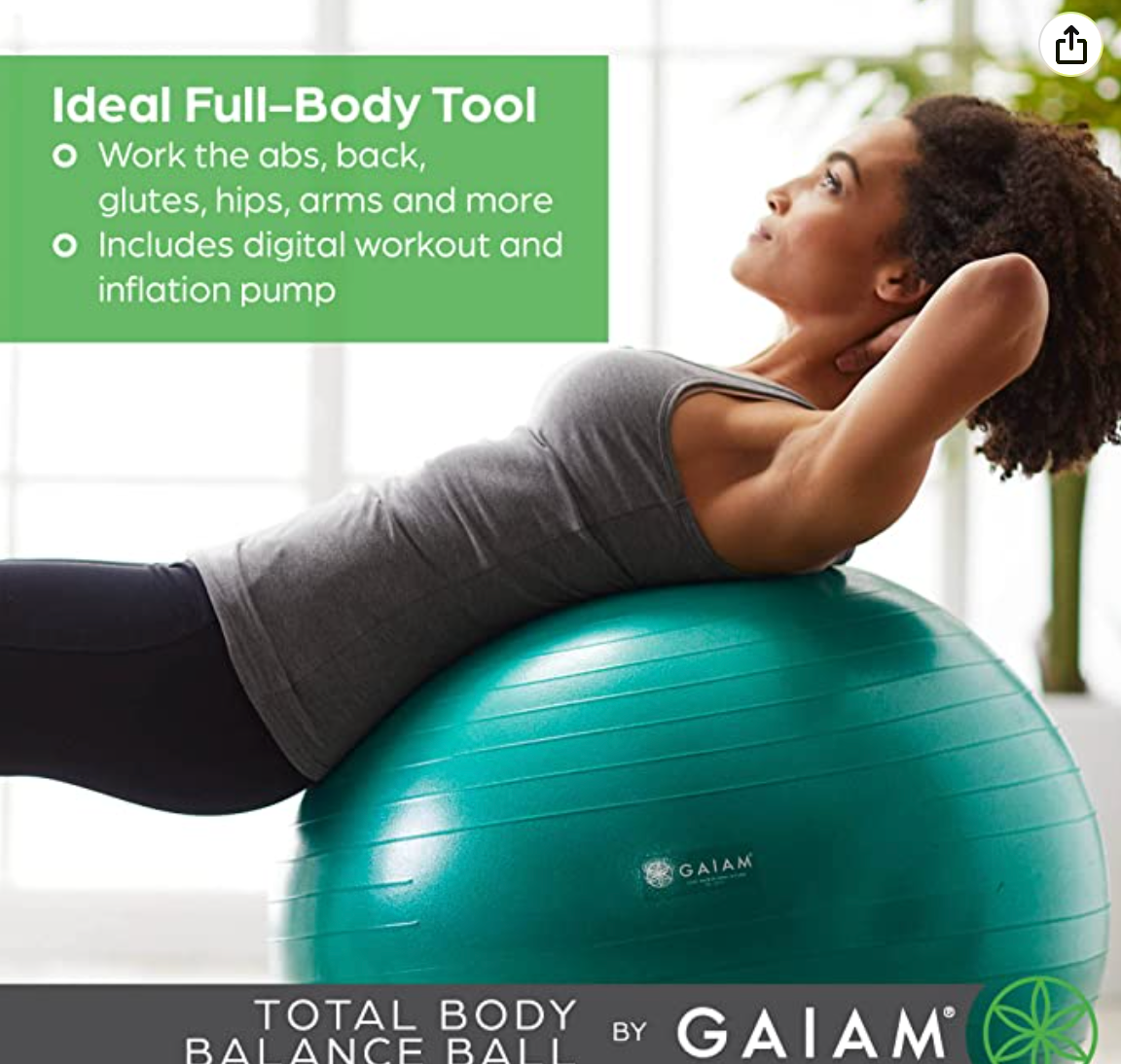 Gaiam Total Body Balance Ball Kit