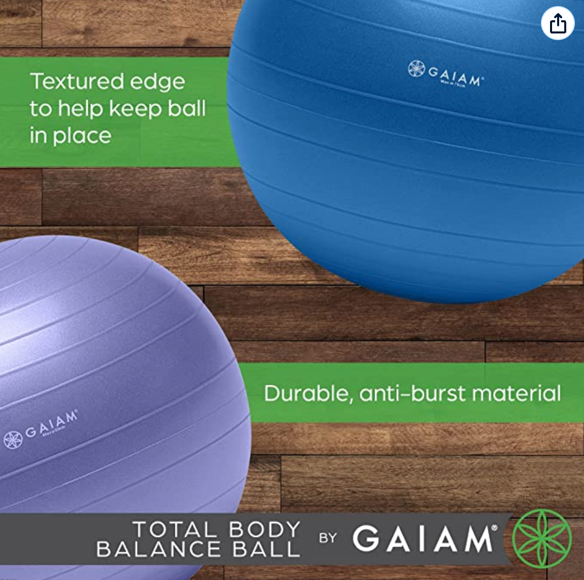 Gaiam Total Body Balance Ball Kit