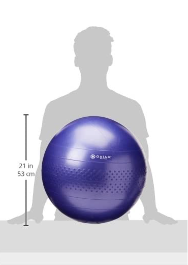 Gaiam Total Body Balance Ball Kit